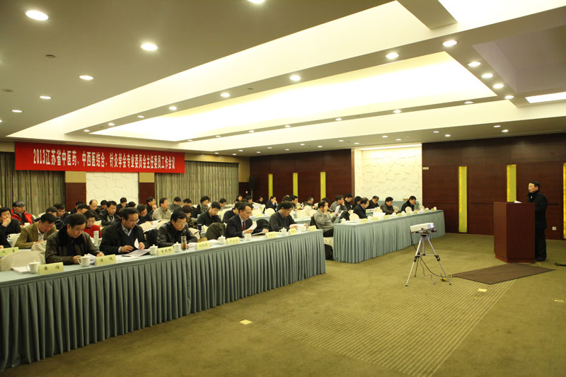2013年江苏省中医药、中西医结合、针灸学会专业委员会主任委员工作会议